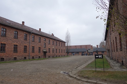 auschwitz18