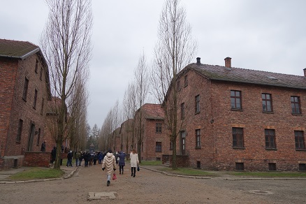 auschwitz19