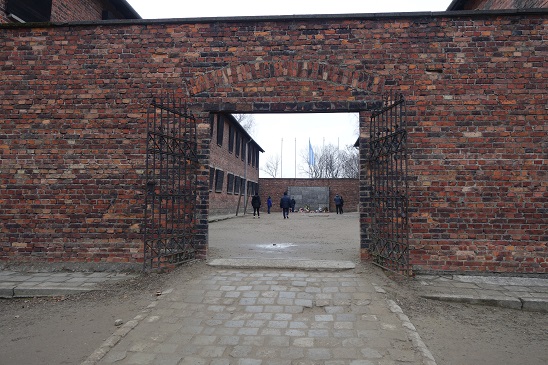 auschwitz23