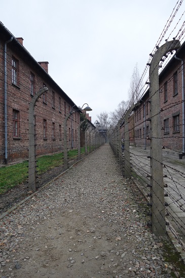 auschwitz28