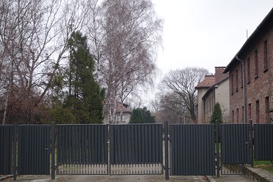 auschwitz31
