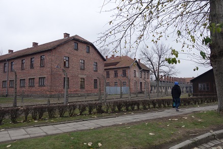 auschwitz33