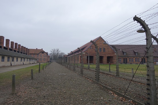 auschwitz4
