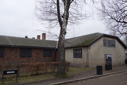 auschwitz5