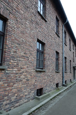 auschwitz8