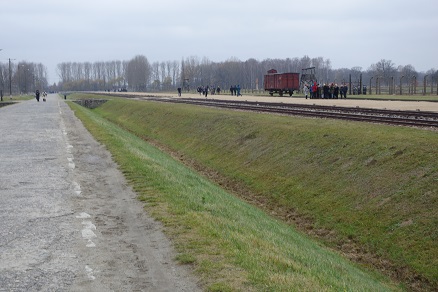 birkenau10