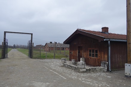 birkenau11