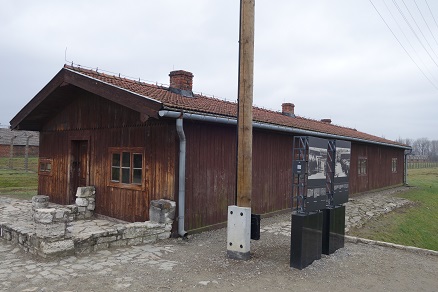 birkenau12