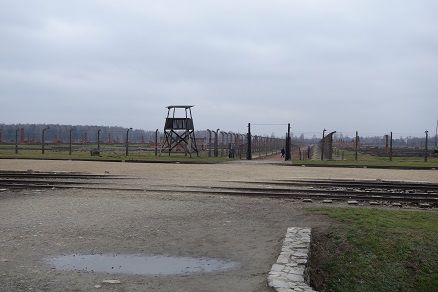 birkenau13