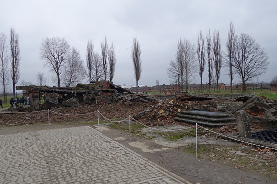 birkenau15