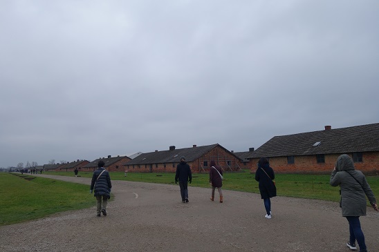 birkenau20