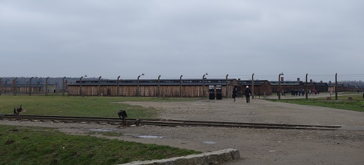 birkenau6
