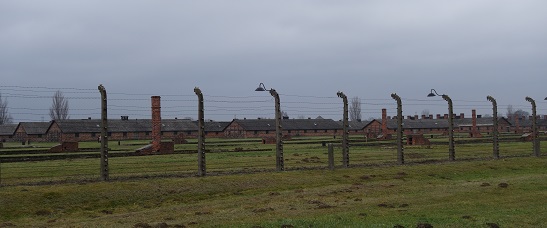 birkenau7