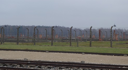 birkenau8-2