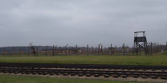 birkenau8