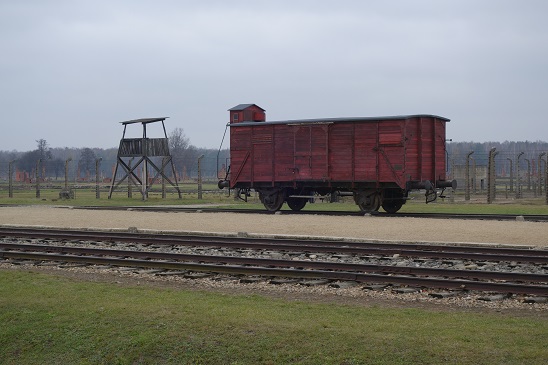 birkenau9