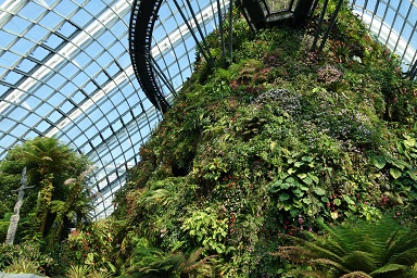 downtown14-gardens10