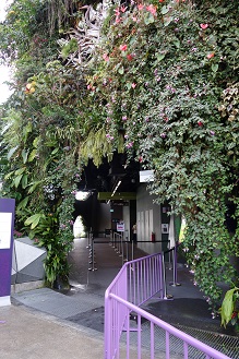 downtown14-gardens13