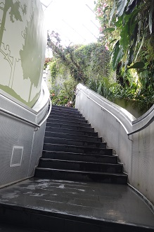 downtown14-gardens14