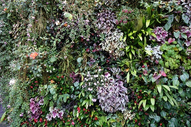 downtown14-gardens15