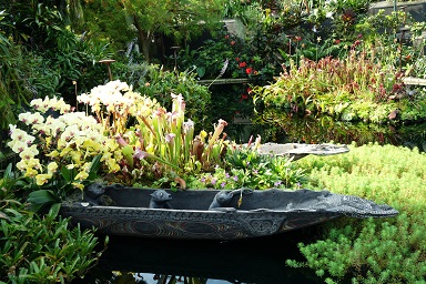 downtown14-gardens19