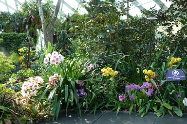 downtown14-gardens21