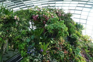 downtown14-gardens24