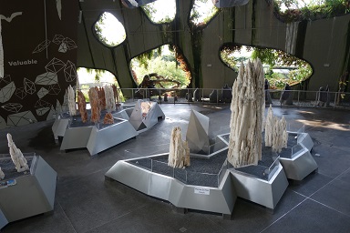 downtown14-gardens25