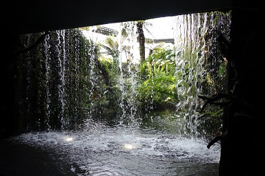 downtown14-gardens26