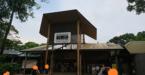 downtown39-nightsafari1