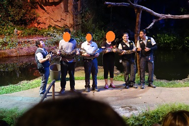 downtown39-nightsafari12