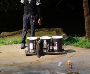 downtown39-nightsafari14