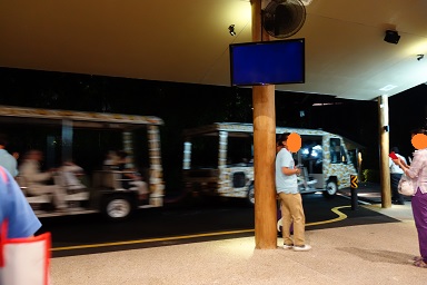 downtown39-nightsafari15