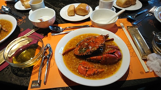 downtown39-nightsafari2