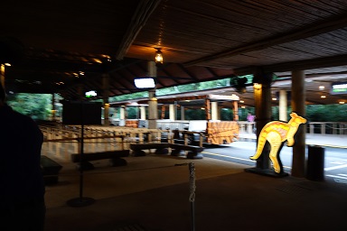 downtown39-nightsafari4