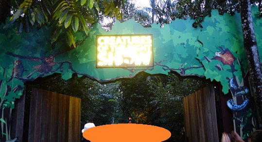 downtown39-nightsafari8