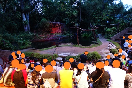 downtown39-nightsafari9