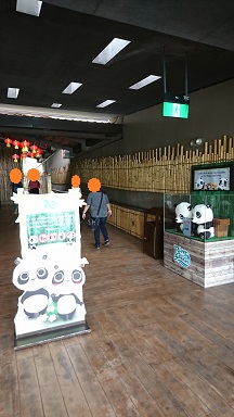 downtown40-riversafari19