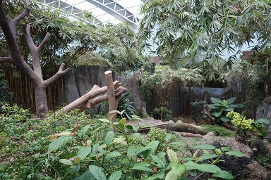 downtown40-riversafari22