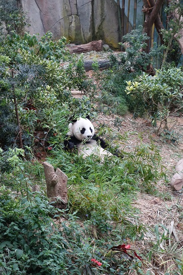 downtown40-riversafari23