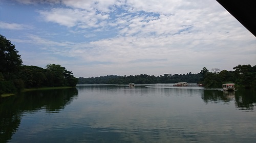 downtown40-riversafari26