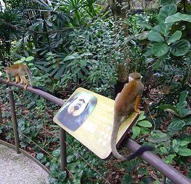 downtown40-riversafari29