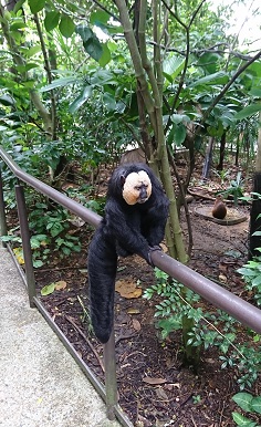 downtown40-riversafari30